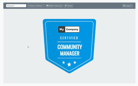 Les open badges, qu’est-ce que c’est ? | Innovation et transformation pédagogique | Scoop.it