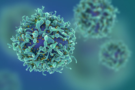 Immune system discovery could revolutionize treatment for chronic disease and cancer | Genetic Engineering in the Press by GEG | Scoop.it