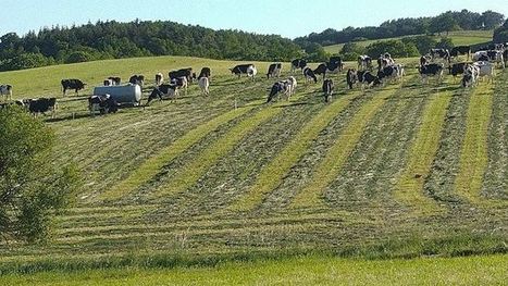 Le topping pour assurer une meilleure repousse de l'herbe plus homogène | Actualités de l'élevage | Scoop.it