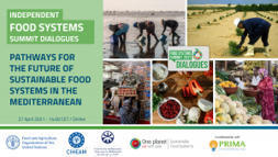 CIHEAM, FAO, UfM: Pathways for the future of food systems in the Mediterranean | CIHEAM Press Review | Scoop.it
