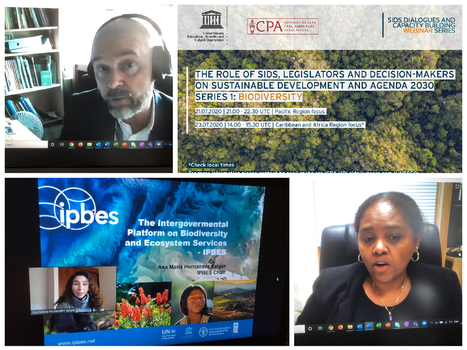 Key role of Parliamentarians and policy makers in promoting biodiversity in Small Island Developing States is highlighted at CPA and UNESCO webinars | Biodiversité | Scoop.it