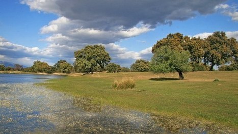 Mapping habitats to describe ecosystems — European Environment Agency (EEA) | Biodiversité | Scoop.it