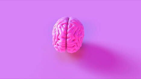 &lsquo;More than a productivity tool&rsquo;: Realising AI&rsquo;s transformative impact | Digital Transformation Leadership | Scoop.it