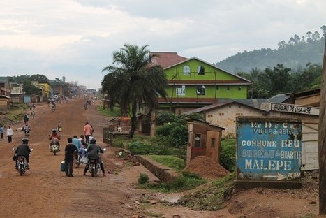 Congo Seeks Investors for Farmland Bigger Than France | Questions de développement ... | Scoop.it