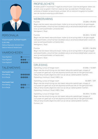 Download Het Consultancy Cv Voorbeeld Cv5