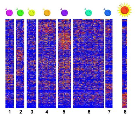 High-tech tissue study reveals which cells drive a painful food allergy | EurekAlert! Science News | Allergy (and clinical immunology) | Scoop.it