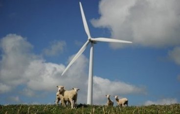 Pour r&eacute;duire ses gaz, la Nouvelle-Z&eacute;lande veut purifier le pet de mouton | Mais n'importe quoi ! | Scoop.it