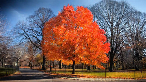 The passing of the seasons | Elapsing Time | Scoop.it