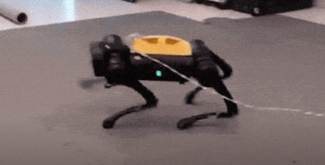 This Robot Dog Has an AI Brain and Taught Itself to Walk in Just an Hour | Imagine Online International Education | Scoop.it