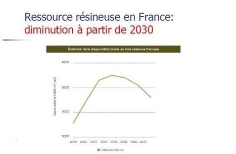 Construction bois : l’inquiétant scénario pour les forêts françaises | GREENEYES | Scoop.it