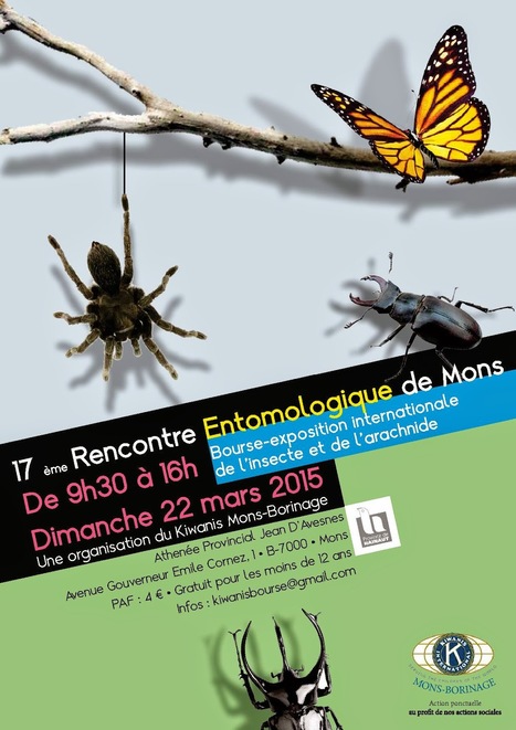 17e Rencontre entomologique de Mons (Belgique) | Vari&eacute;t&eacute;s entomologiques | Scoop.it