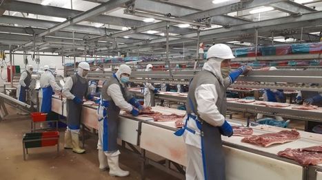 Covid-19 : à Saint-Brice-en-Coglès, les salariés de l'abattoir Abera sous haute protection | La Gazette des abattoirs | Scoop.it