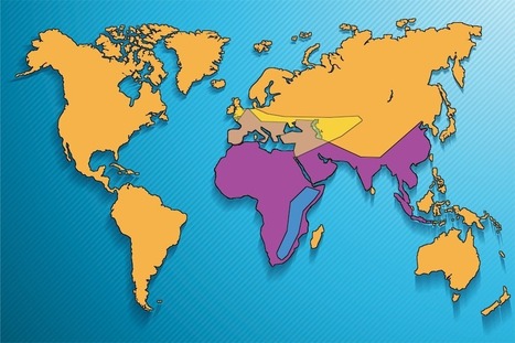 Shemale orgia galleriat