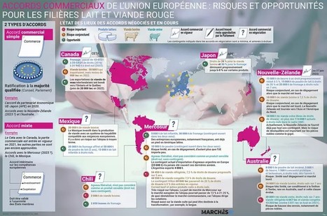 [Infographie] Accords commerciaux : quels sont les risques et les opportunités pour les filières viande et lait ? | Lait de Normandie... et d'ailleurs | Scoop.it