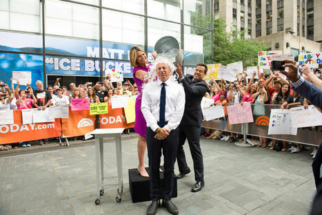 Payday for Ice Bucket Challenge’s Mocked Slacktivists | Digital Literacy in the Library | Scoop.it