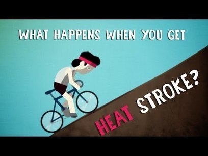 What happens when you get heat stroke? - Douglas J. Casa | Physical and Mental Health - Exercise, Fitness and Activity | Scoop.it