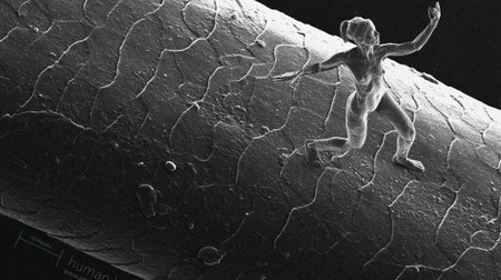 Amazing: Artist creates nanosculptures much smaller than a human hair | Amazing Science | Scoop.it