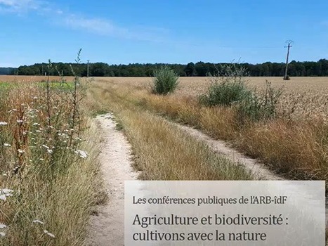 Conférence publique “Agriculture et biodiversité : cultivons avec la nature” : Replay de la conférence | Insect Archive | Scoop.it