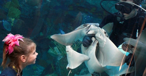 Best Aquariums in the USA, the Top 10 | Human Interest | Scoop.it