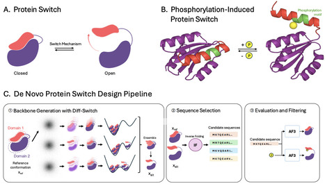 Integrated experimental and AI innovations for ...