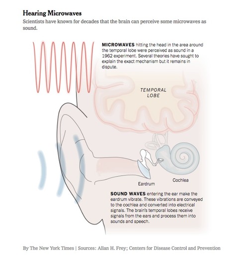 "Microwave weapons are prime suspect in ills of U.S. embassy workers: Doctors and scientists say microwave strikes may have caused sonic delusions and very real brain damage among embassy staff and... | Screen Time, Tech Safety & Harm Prevention Research | Scoop.it