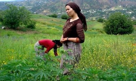 Dans le Maroc rural, les stéréotypes freinent la féminisation du monde agricole - Yabiladi.com | Espace Méditerranéen : géopolitique, coopération... | Scoop.it