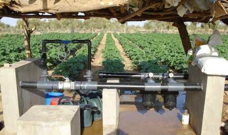 Maroc - 230.000 ha de terres agricoles seront équipées en micro-irrigation | MED-Amin network | Scoop.it