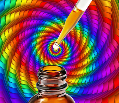 What are Mushroom Drops? - A Guide to Mushroom Tinctures and Extracts | Cannabis.Net | Scoop.it