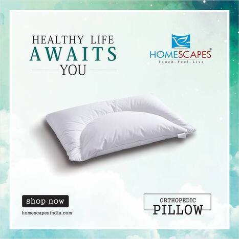 Cervical Neck Pillow In Home Scapes Scoop It