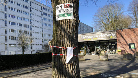 Lille : comment Loan, 22 ans, a sauv&eacute; six arbres en mena&ccedil;ant de faire une gr&egrave;ve de la faim | Nature en ville | Scoop.it