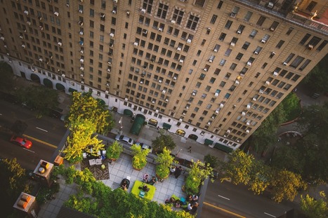 Assurance construction et toiture terrasses végétalisées | Build Green, pour un habitat écologique | Scoop.it