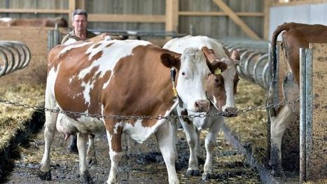 Le libre-échange ne menace pas le secteur agricole suisse, selon une étude | Lait de Normandie... et d'ailleurs | Scoop.it