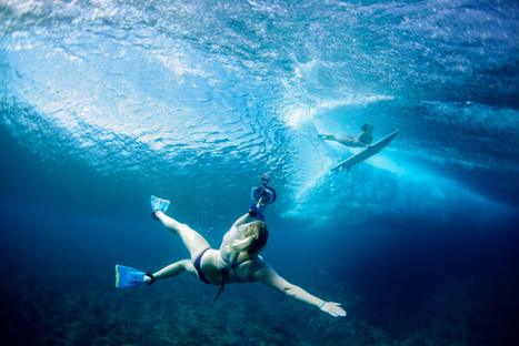 8 Essential Underwater Photography Tips from Sarah Lee | Mobile Photography | Scoop.it
