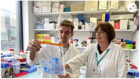 Staphylocoque doré : on a trouvé la faille de cette bactérie si dangereuse | Life Sciences Université Paris-Saclay | Scoop.it