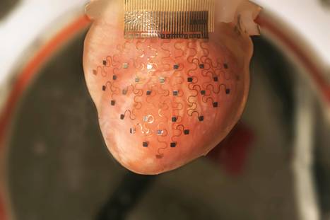3D-printed 'electronic glove' could help keep your heart beating for ever - The Independent | Machinimania | Scoop.it