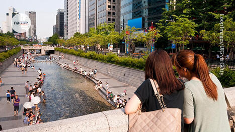 How buildings and cities can be aligned with life | Biomimicry 3.8 | Scoop.it