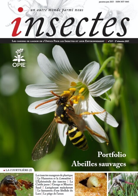 La revue Insectes numéro 217 - OPIE | Variétés entomologiques | Scoop.it