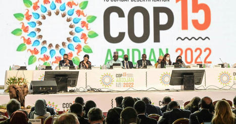 Fin de la COP15 d&eacute;sertification : &laquo; On a d&eacute;sormais une cible claire &raquo; | EntomoScience | Scoop.it