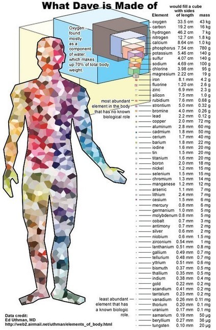 [INFOGRAPHICS] What our body is made of (thanks to an old, unknown supernova)... | omnia mea mecum fero | Scoop.it