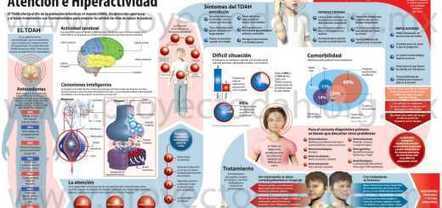 TDAH Guía Práctica Para Padres | Dificultades aprendizaje y NEE | Scoop.it