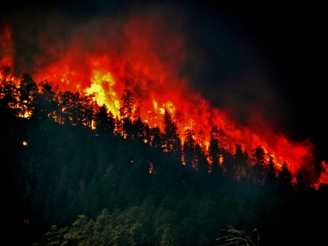 Climate assessment predicts increasing wildfires | Timberland Investment | Scoop.it