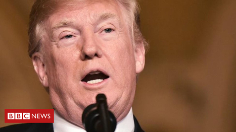 Trump targets Opec over high oil prices | Microeconomics: IB Economics | Scoop.it