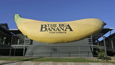 The best big things in Australia (and where to find them) | Trans Tasman Migration | Scoop.it