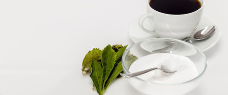 7 Things You Didn't Know About Stevia | SELF HEALTH + HEALING | Scoop.it