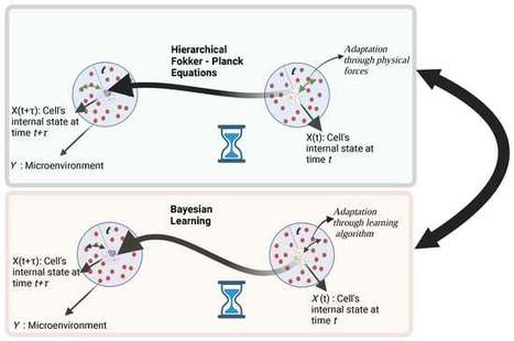 Cell Decision Making through the Lens of Bayesian Learning | Papers | Scoop.it