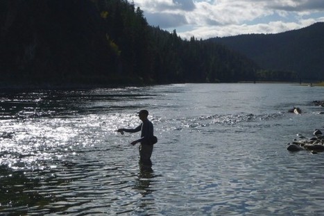 Les É.-U. dénoncent la pollution d'une rivière par le Canada  | water news | Scoop.it