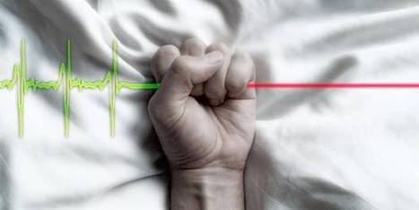 Euthanasie : le d&eacute;bat divise tous les partis | D&eacute;pendance et fin de vie | Scoop.it