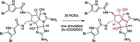 Configurational Analysis of Tetracyclic Dimeric Pyrrole–Imidazole Alkaloids Using a Floating Chirality Approach | Natural Products Chemistry Breaking News | Scoop.it