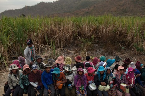 Cambodia: Clean Sugar Campaign welcomes EU process to assess & redress claims of displacement impacts in sugar industry | Business & Human Rights Resource Centre | Responsible Sourcing | Scoop.it