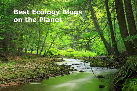 Top 40 Ecology Blogs and Websites To Follow in 2018 | Biodiversité | Scoop.it